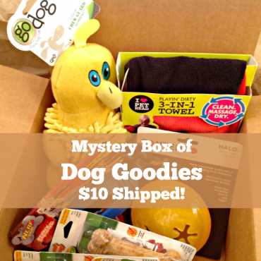 https://talking.beer/wp-content/uploads/2017/06/deal-on-dog-mystery-box-G-370x370.png